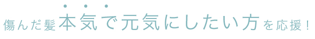 傷んだ髪本気で元気にしたい方を応援