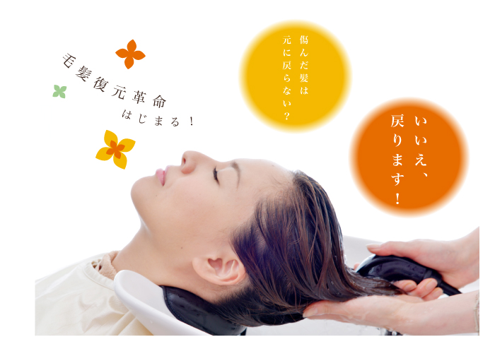 毛髪復元革命はじまる!